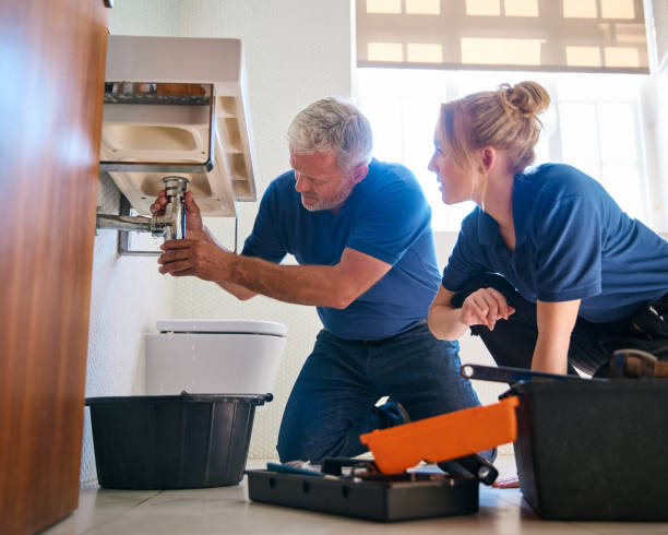 Best Plumbing Repair Near Me  in Long Beach, IN