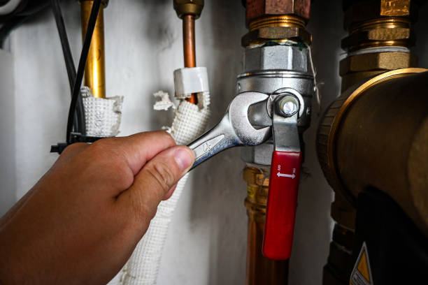 Best Toilet Repair Services  in Long Beach, IN